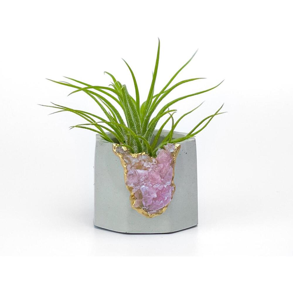 Rose Quartz Crystal Planter Concrete Geode Air Plant Holder
